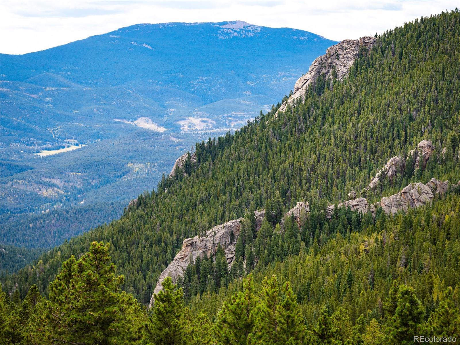MLS Image #3 for 76  raven ridge road,idaho springs, Colorado
