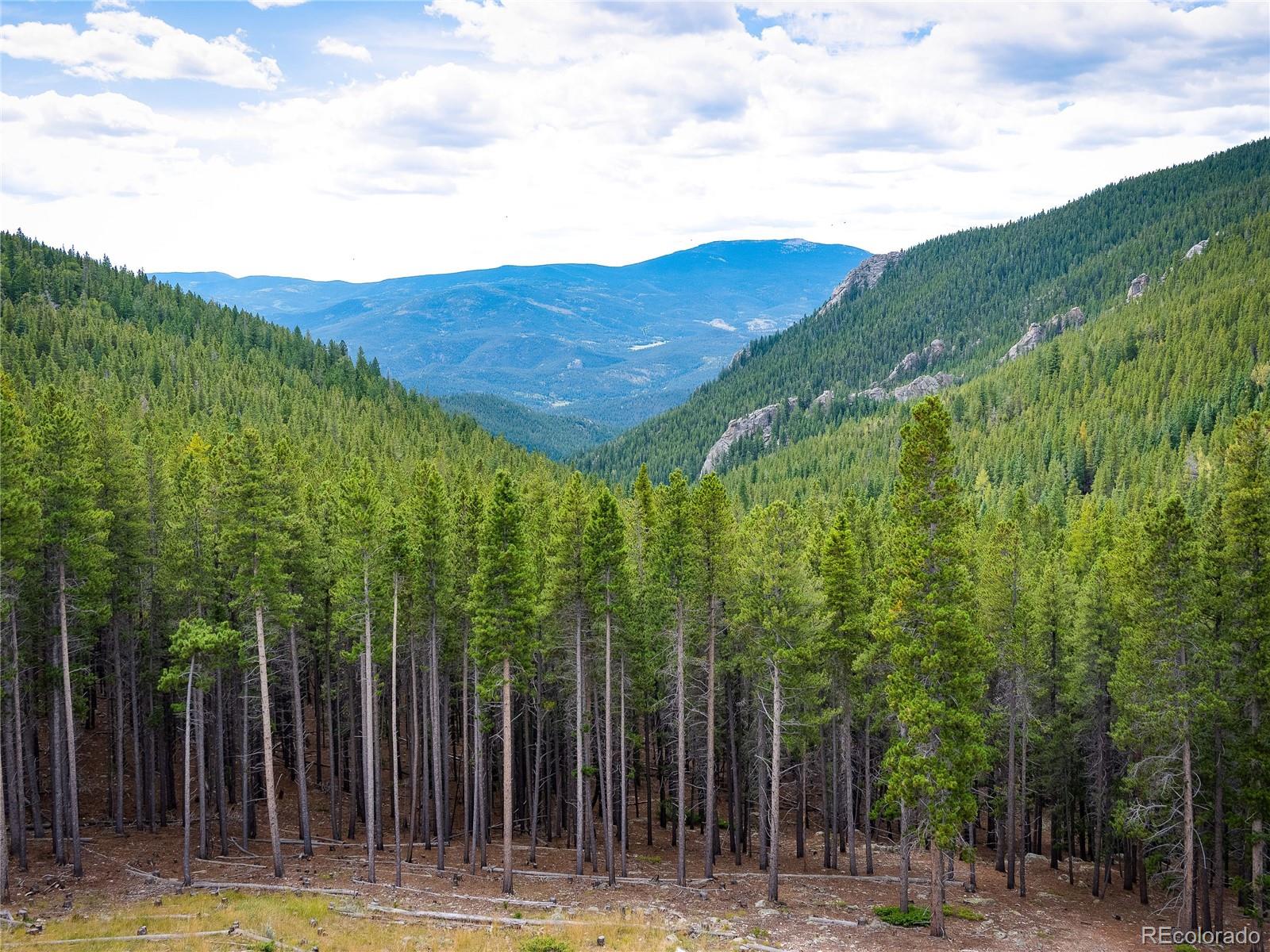 MLS Image #42 for 76  raven ridge road,idaho springs, Colorado