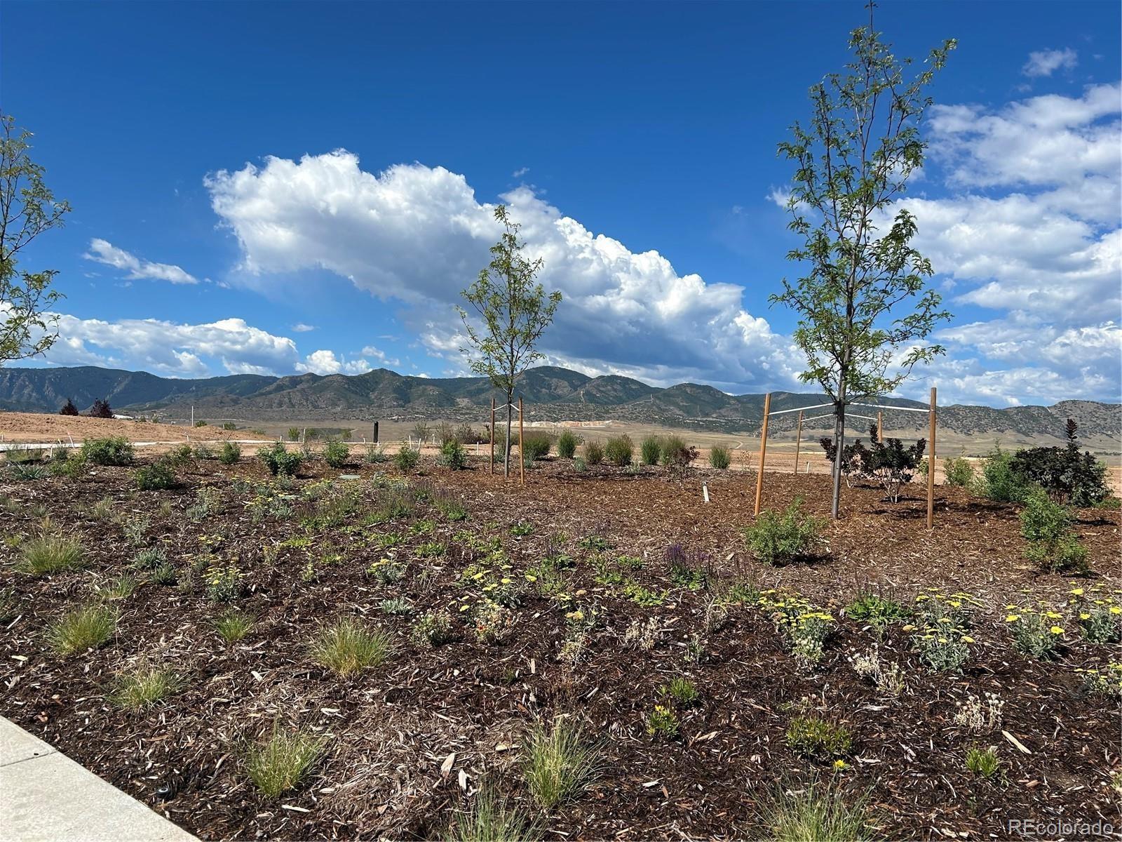 MLS Image #35 for 9204  star fall circle,littleton, Colorado