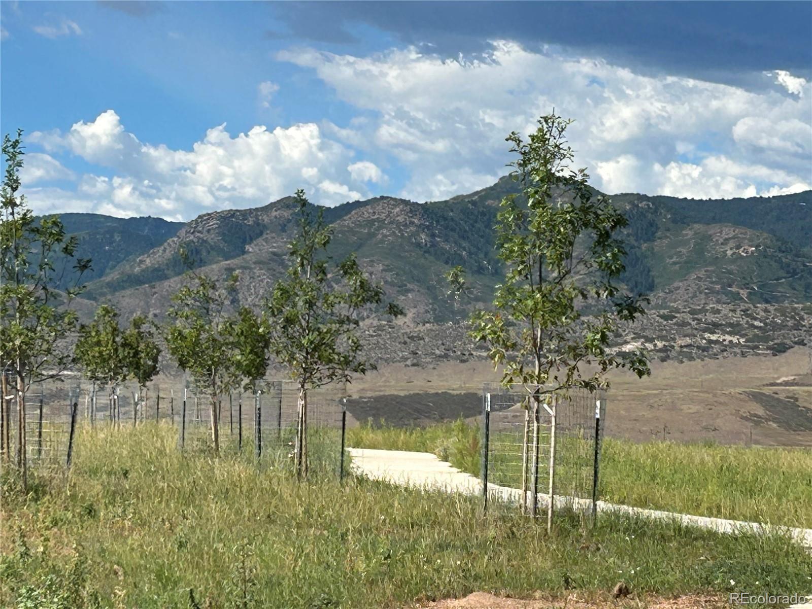 MLS Image #36 for 9204  star fall circle,littleton, Colorado