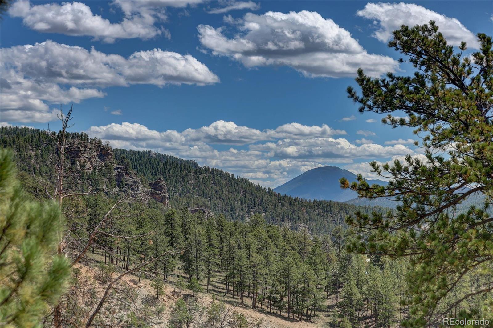 MLS Image #19 for 304  virginia road,bailey, Colorado