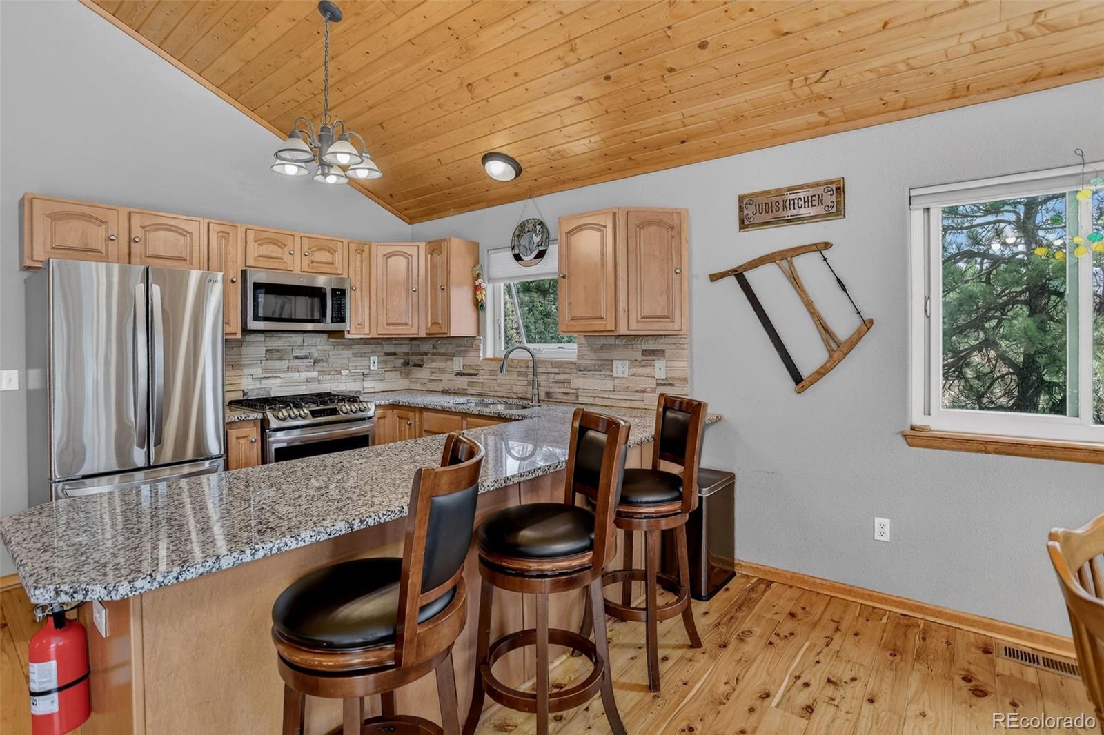 MLS Image #4 for 304  virginia road,bailey, Colorado