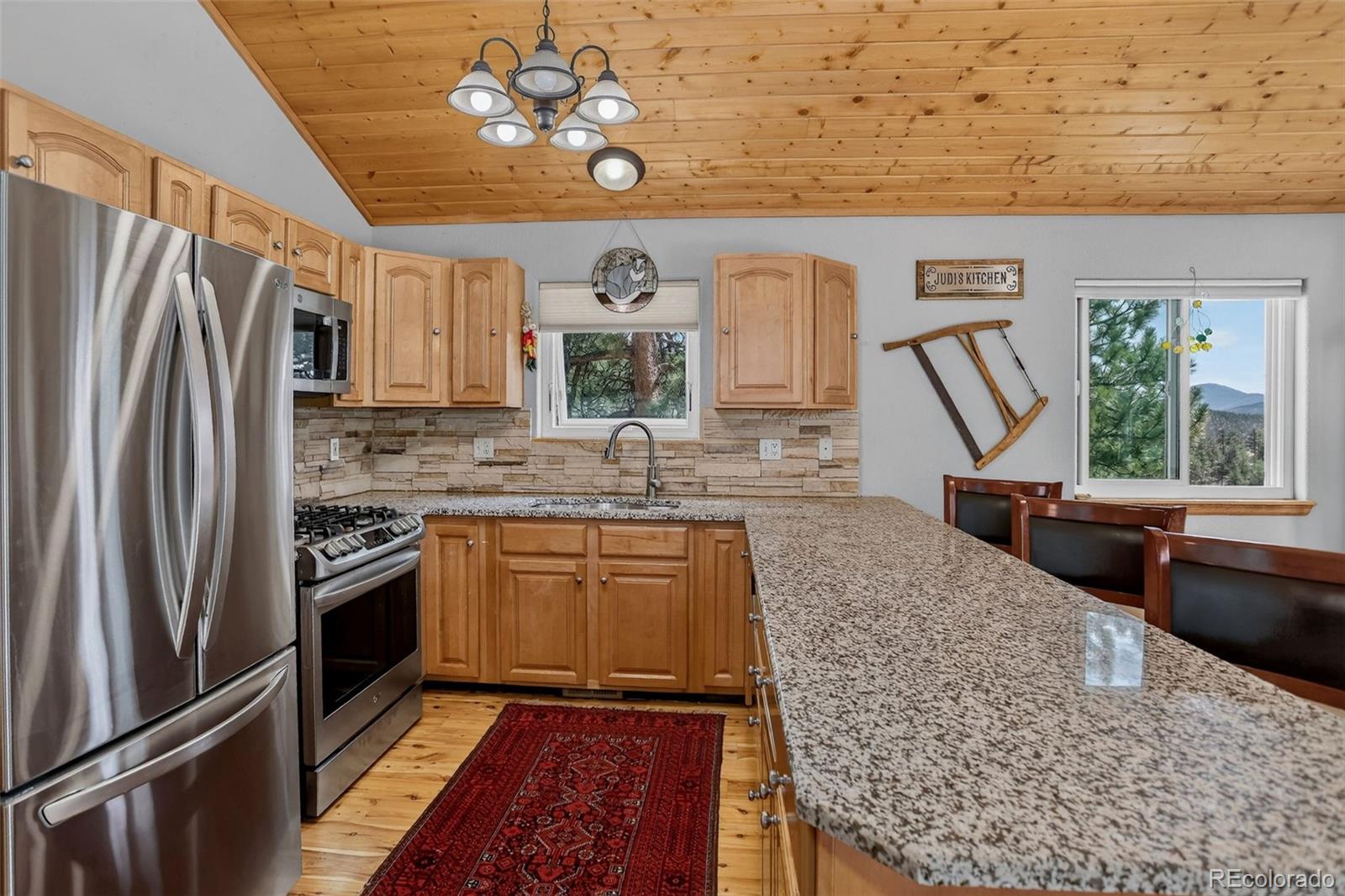 MLS Image #5 for 304  virginia road,bailey, Colorado