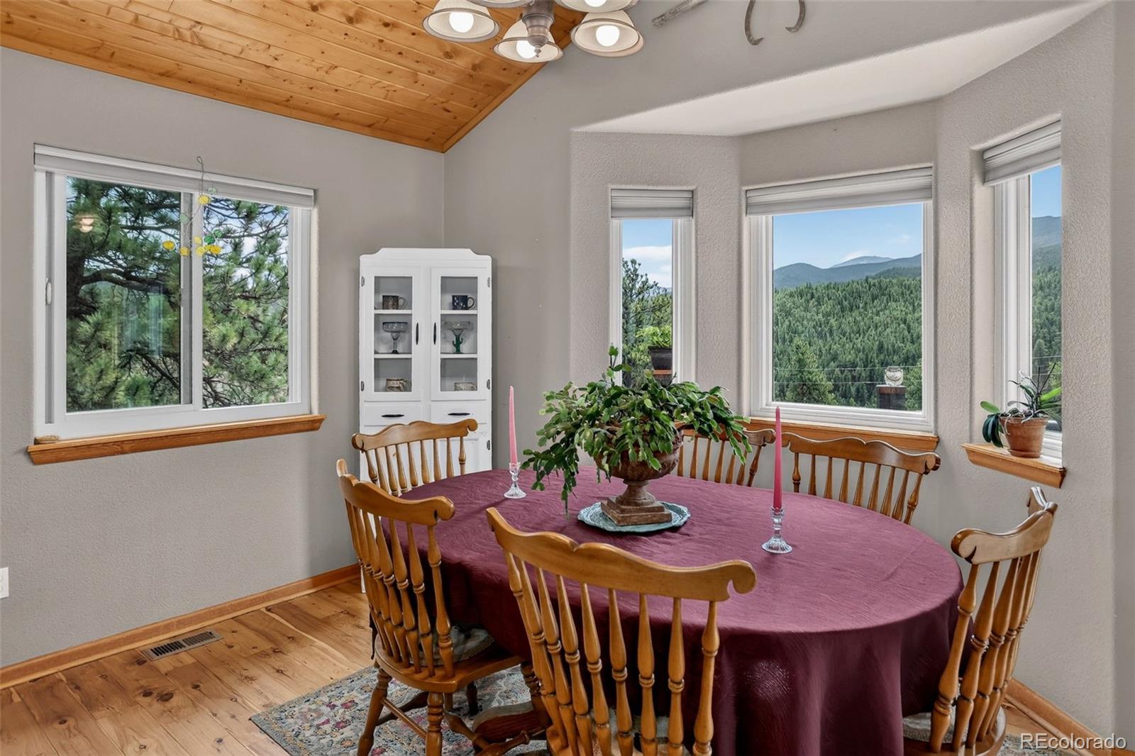 MLS Image #6 for 304  virginia road,bailey, Colorado