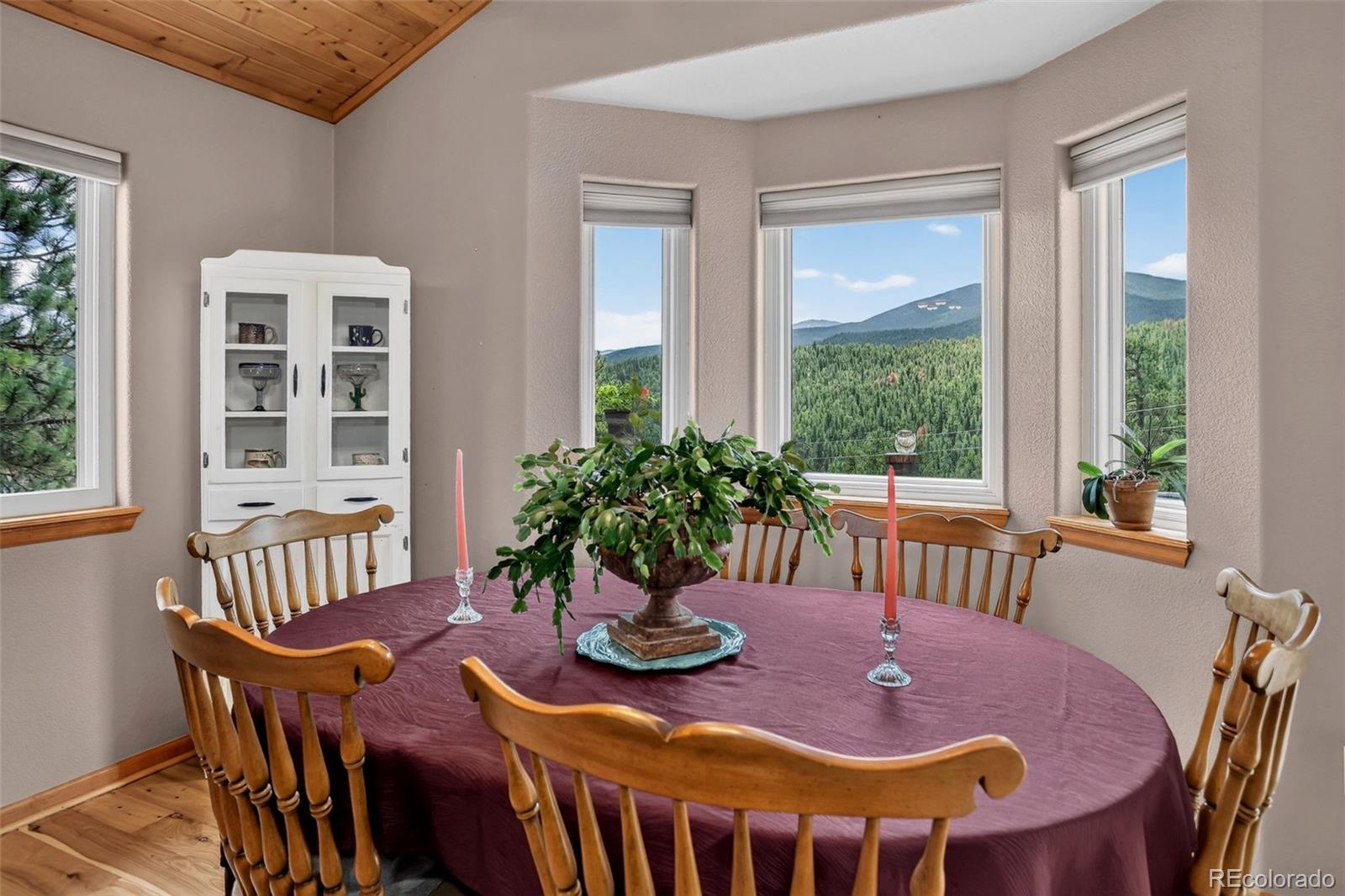 MLS Image #7 for 304  virginia road,bailey, Colorado