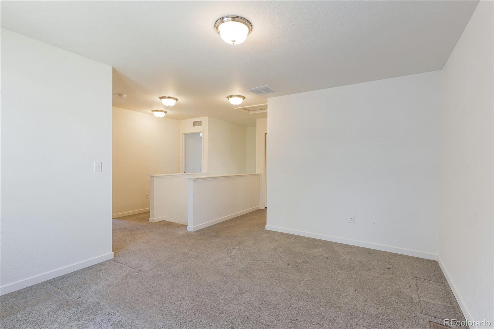 MLS Image #14 for 19109 e 54th place,denver, Colorado