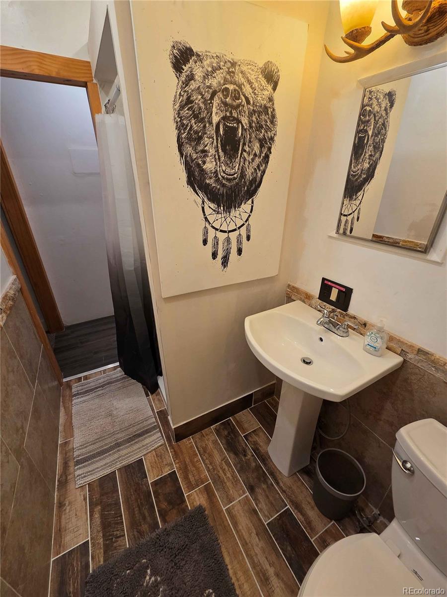 MLS Image #17 for 704  yellow pine drive,bailey, Colorado