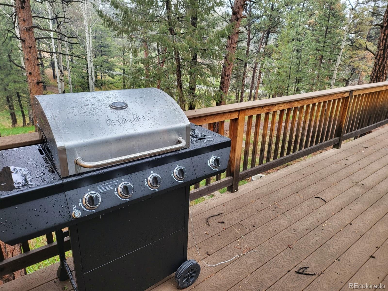 MLS Image #20 for 704  yellow pine drive,bailey, Colorado