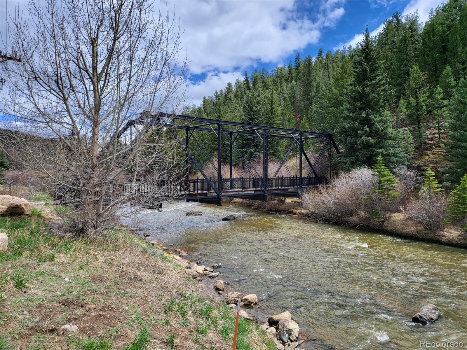 MLS Image #23 for 704  yellow pine drive,bailey, Colorado