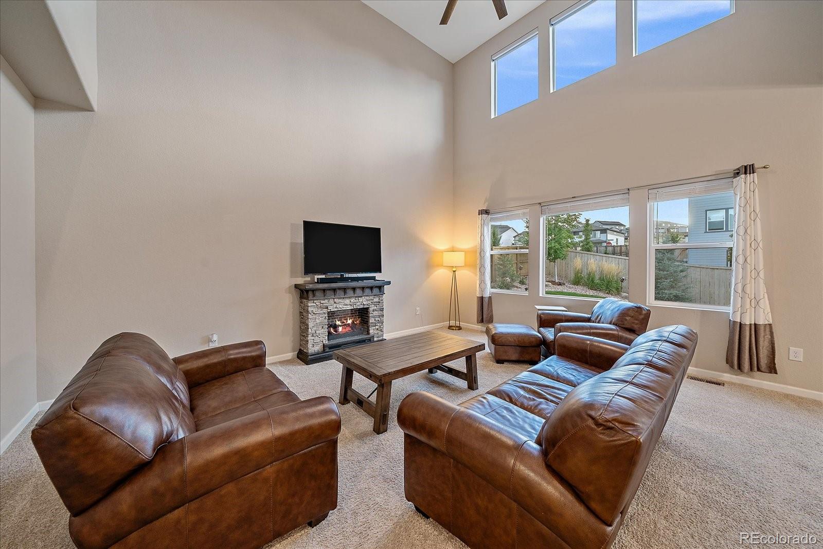 MLS Image #10 for 17304  birds foot avenue,parker, Colorado