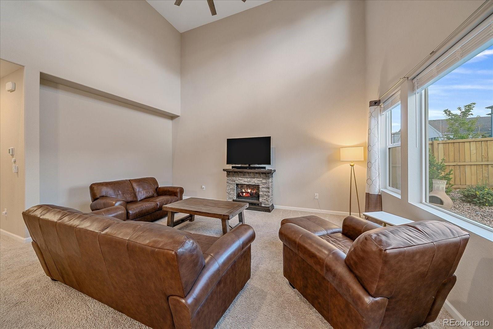 MLS Image #11 for 17304  birds foot avenue,parker, Colorado