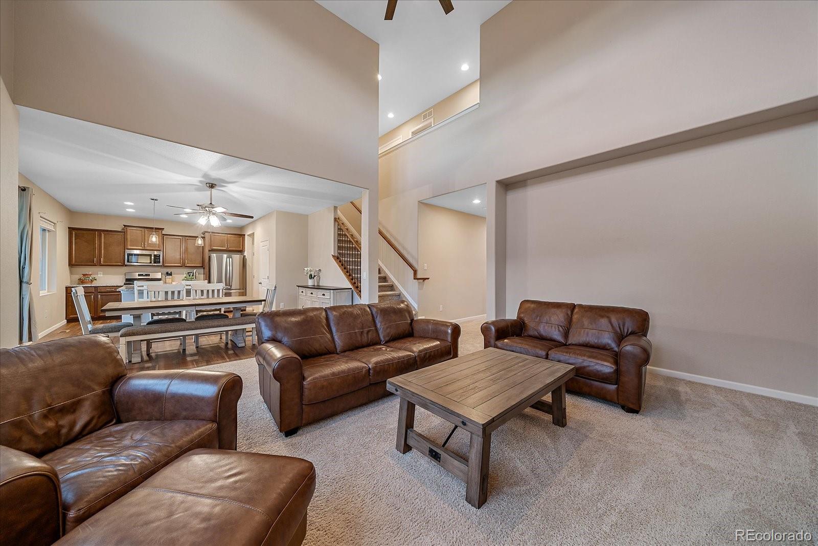 MLS Image #12 for 17304  birds foot avenue,parker, Colorado