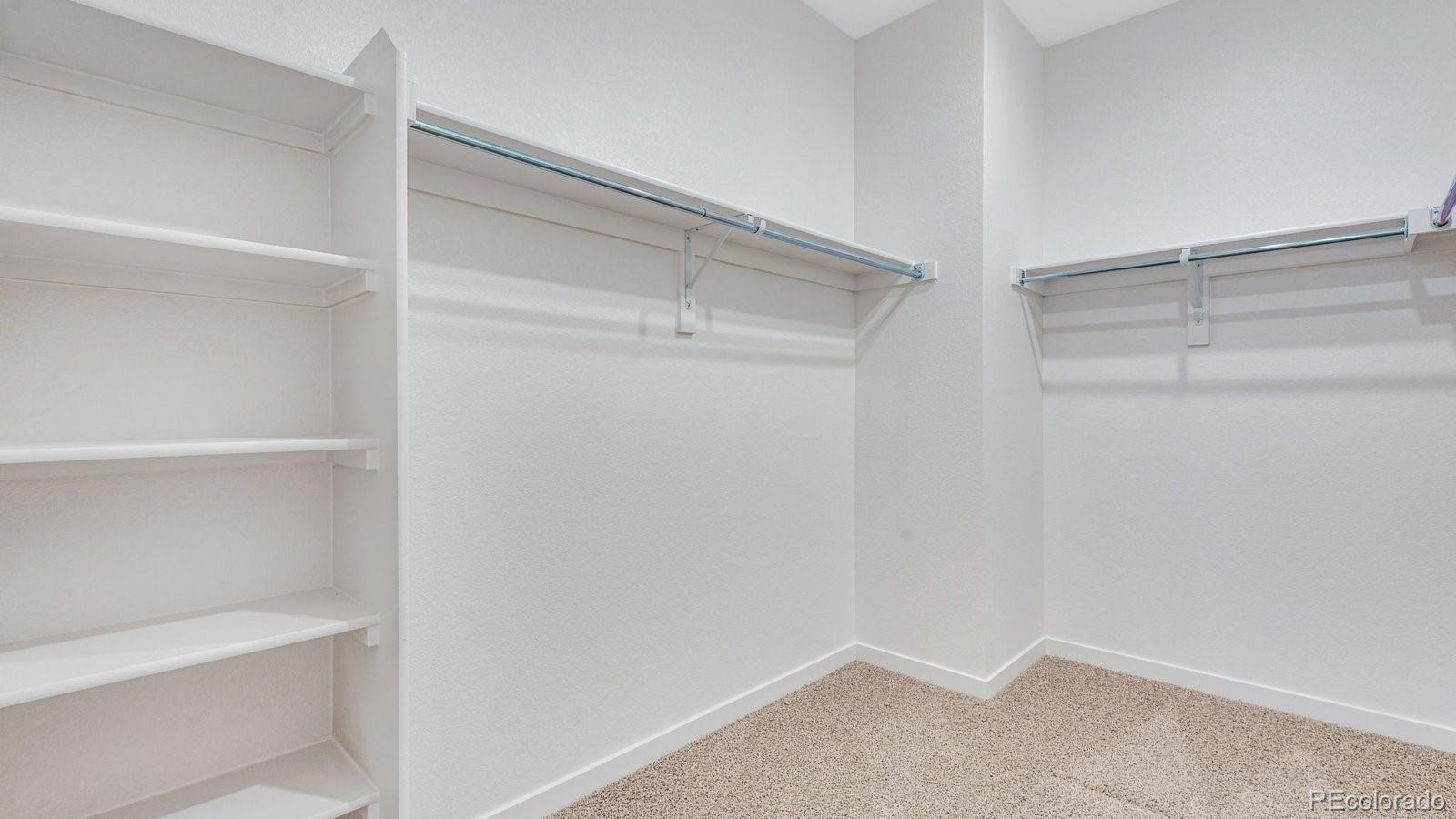 MLS Image #27 for 5625  gelbray place,windsor, Colorado