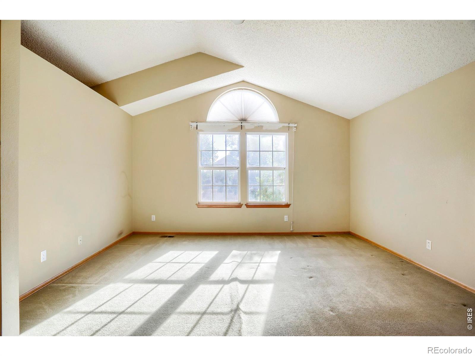 MLS Image #15 for 12547  forest view street,broomfield, Colorado