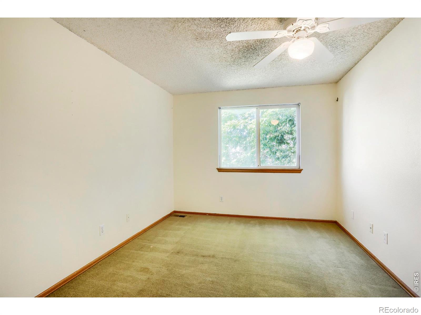 MLS Image #20 for 12547  forest view street,broomfield, Colorado