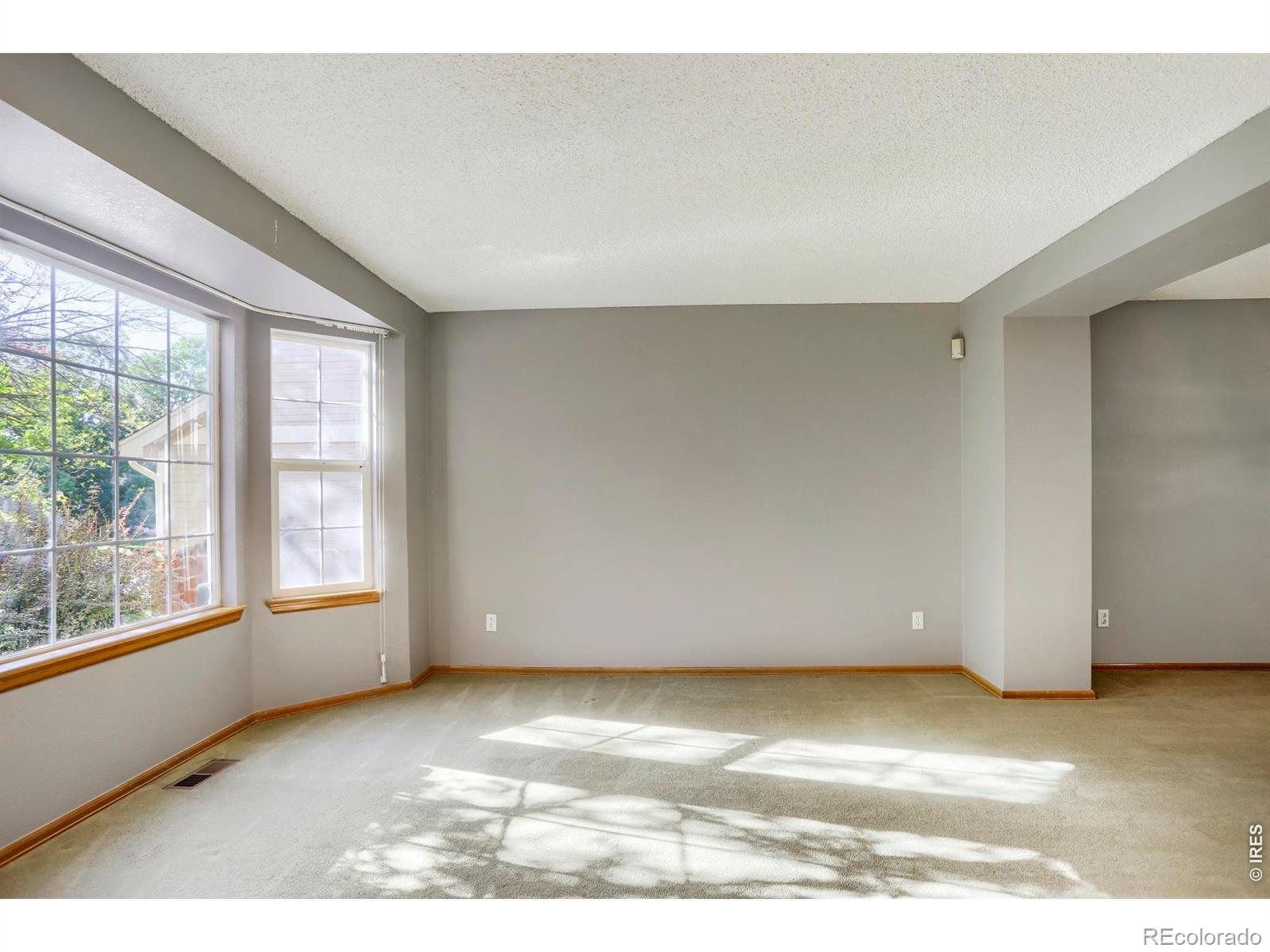 MLS Image #4 for 12547  forest view street,broomfield, Colorado