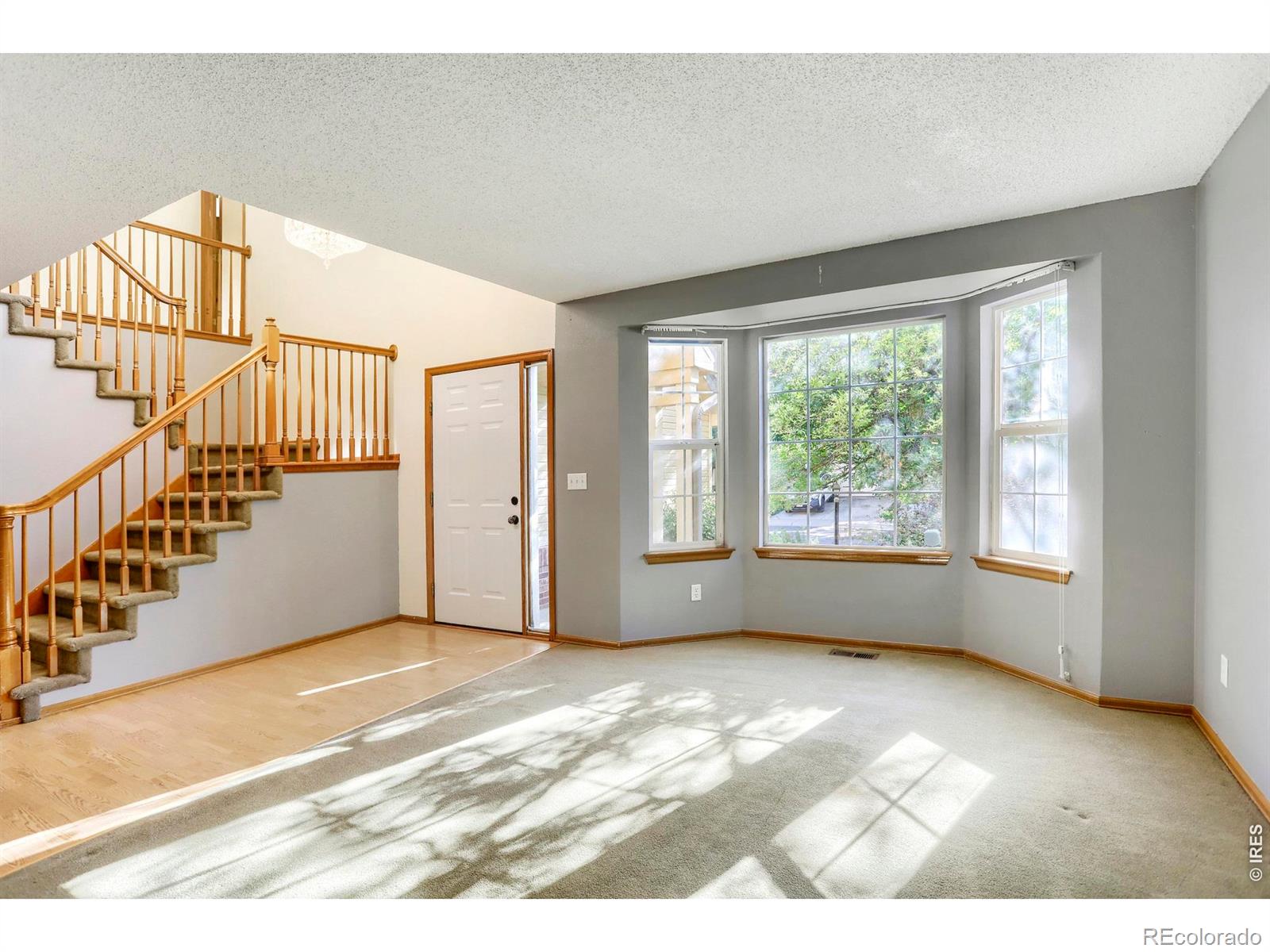 MLS Image #5 for 12547  forest view street,broomfield, Colorado