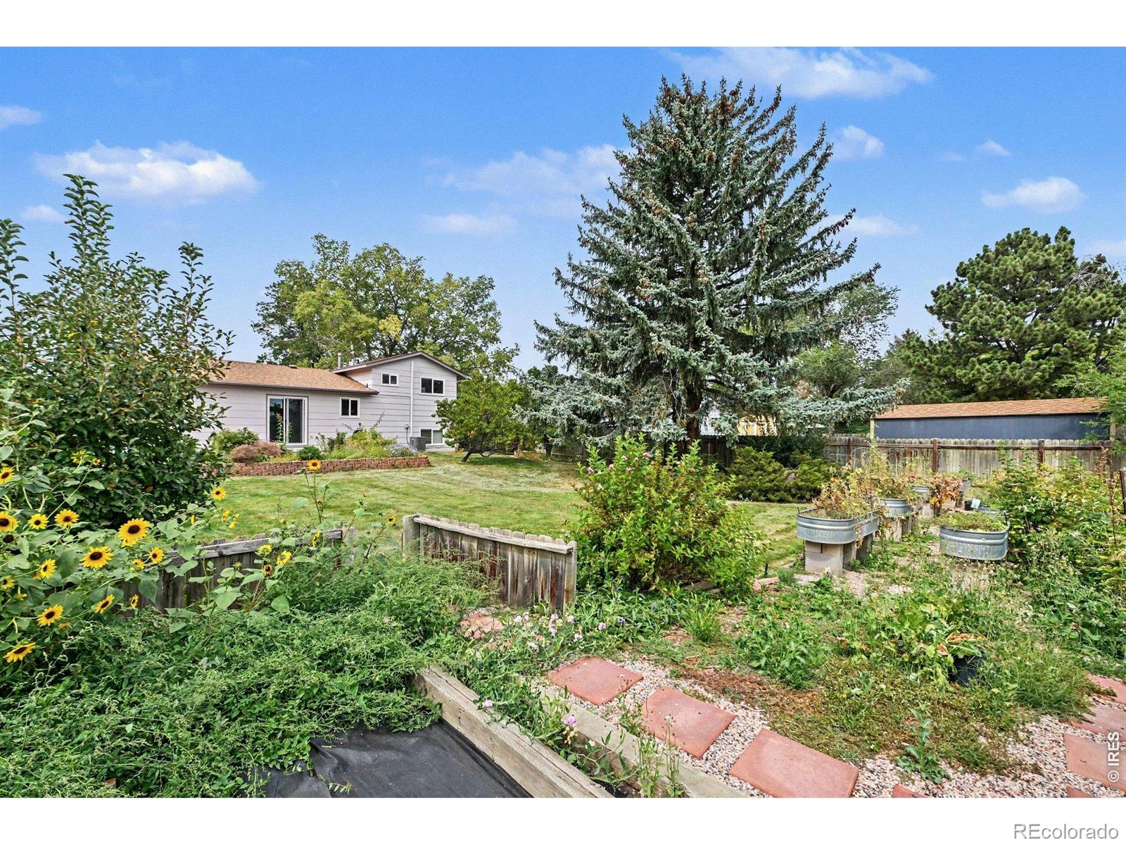 MLS Image #26 for 6308  constellation drive,fort collins, Colorado