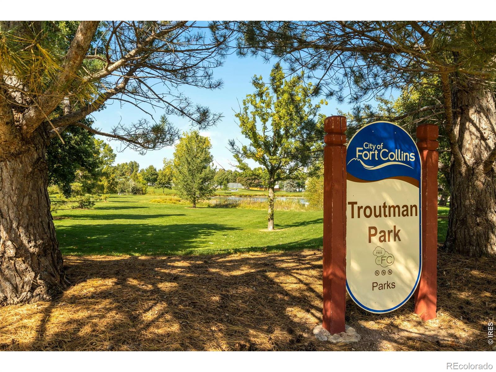 MLS Image #34 for 906  deer creek lane,fort collins, Colorado