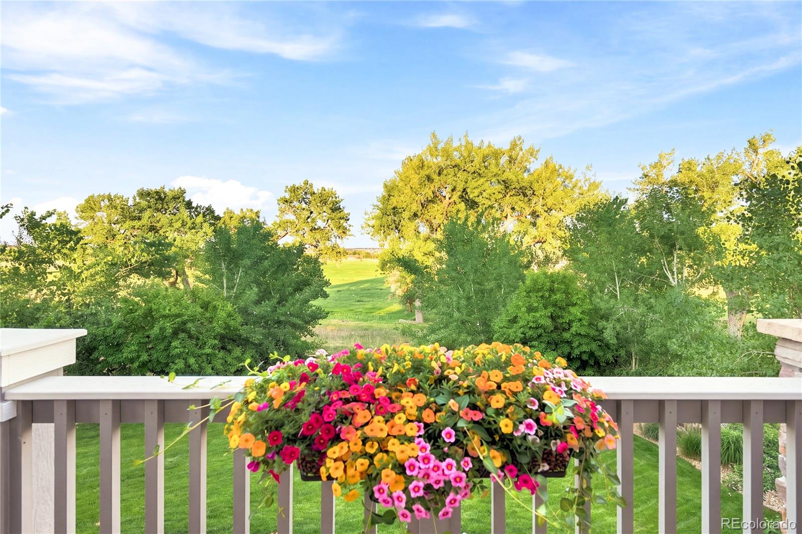 MLS Image #41 for 8938  devinney court,arvada, Colorado