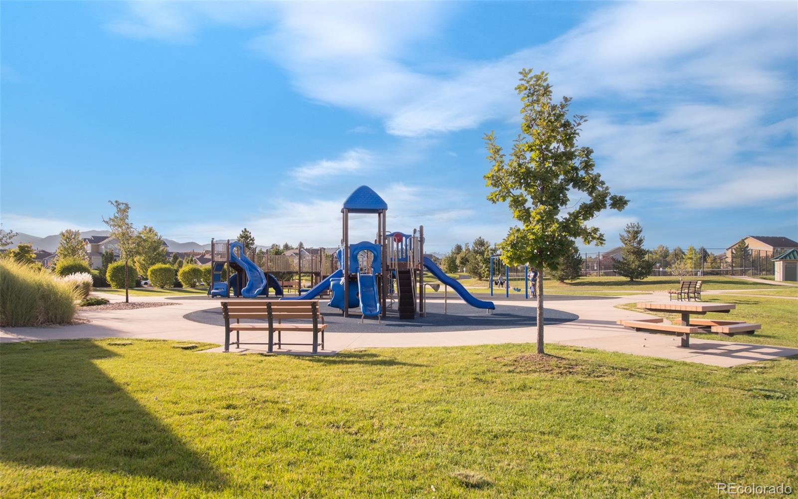 MLS Image #48 for 8938  devinney court,arvada, Colorado