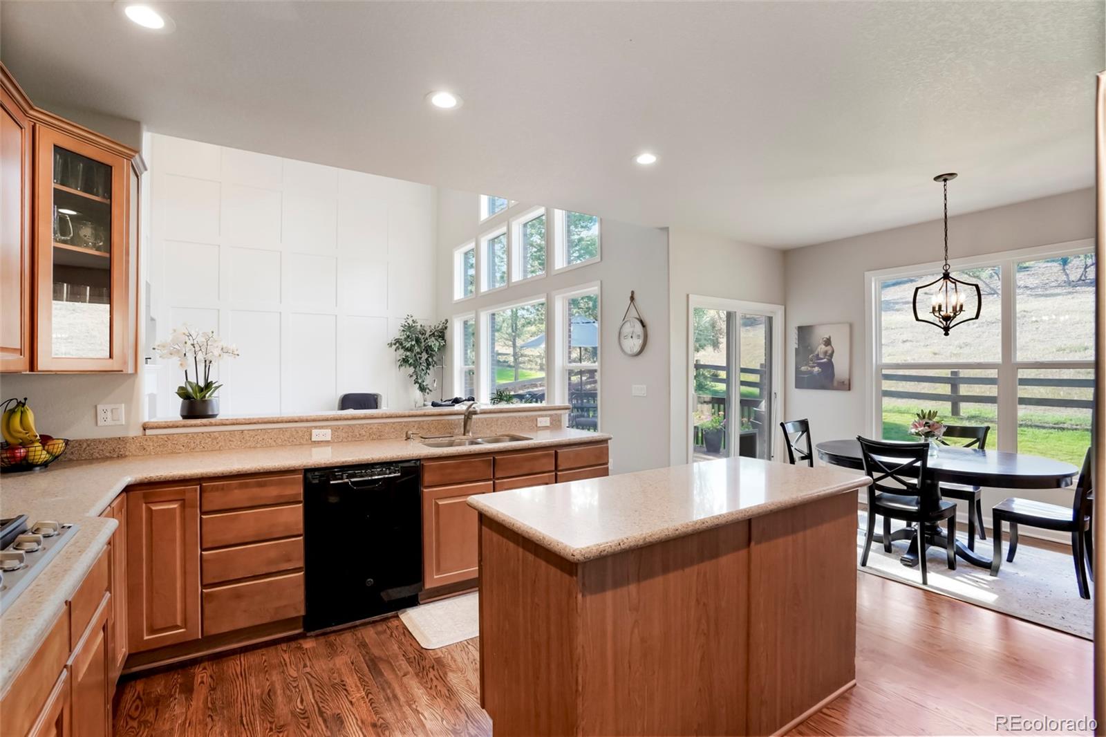 MLS Image #11 for 6659  esperanza drive,castle pines, Colorado