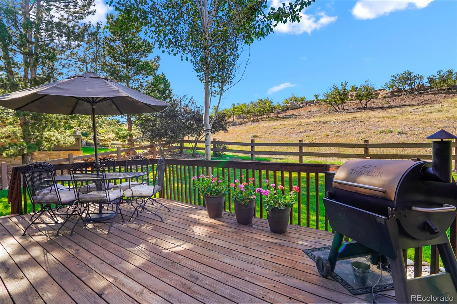 MLS Image #14 for 6659  esperanza drive,castle pines, Colorado