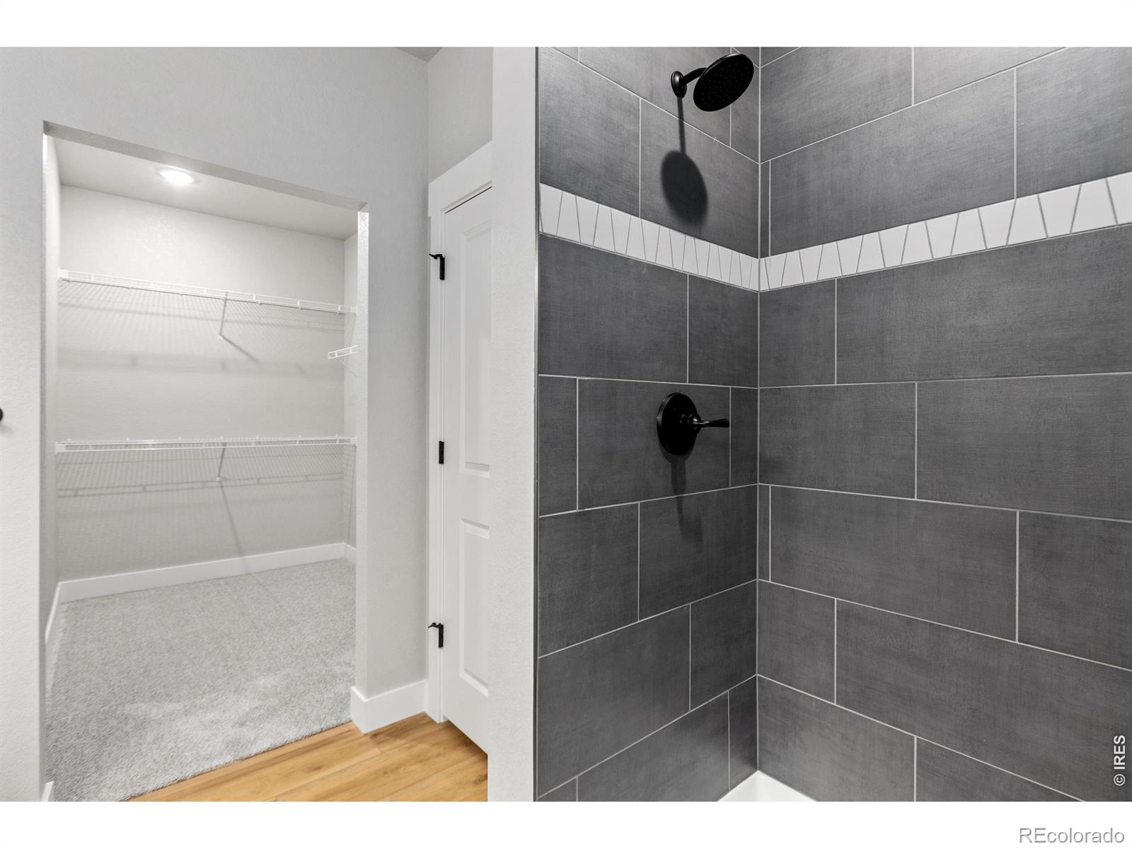 MLS Image #11 for 1014  birdwhistle lane,fort collins, Colorado