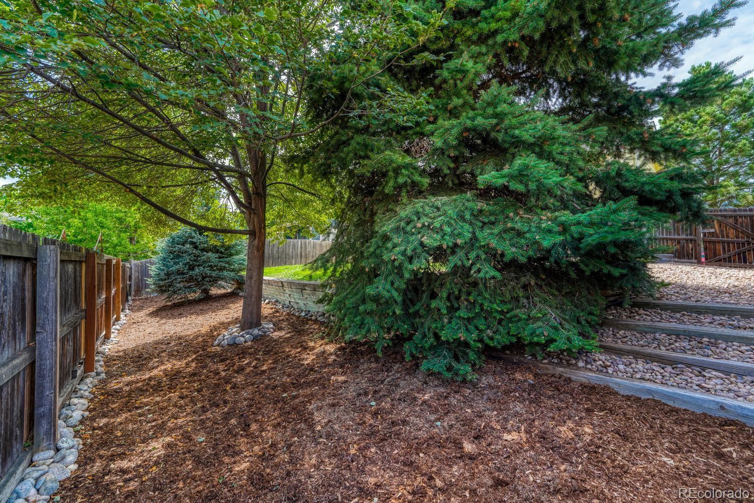 MLS Image #31 for 832  pitkin way,castle rock, Colorado