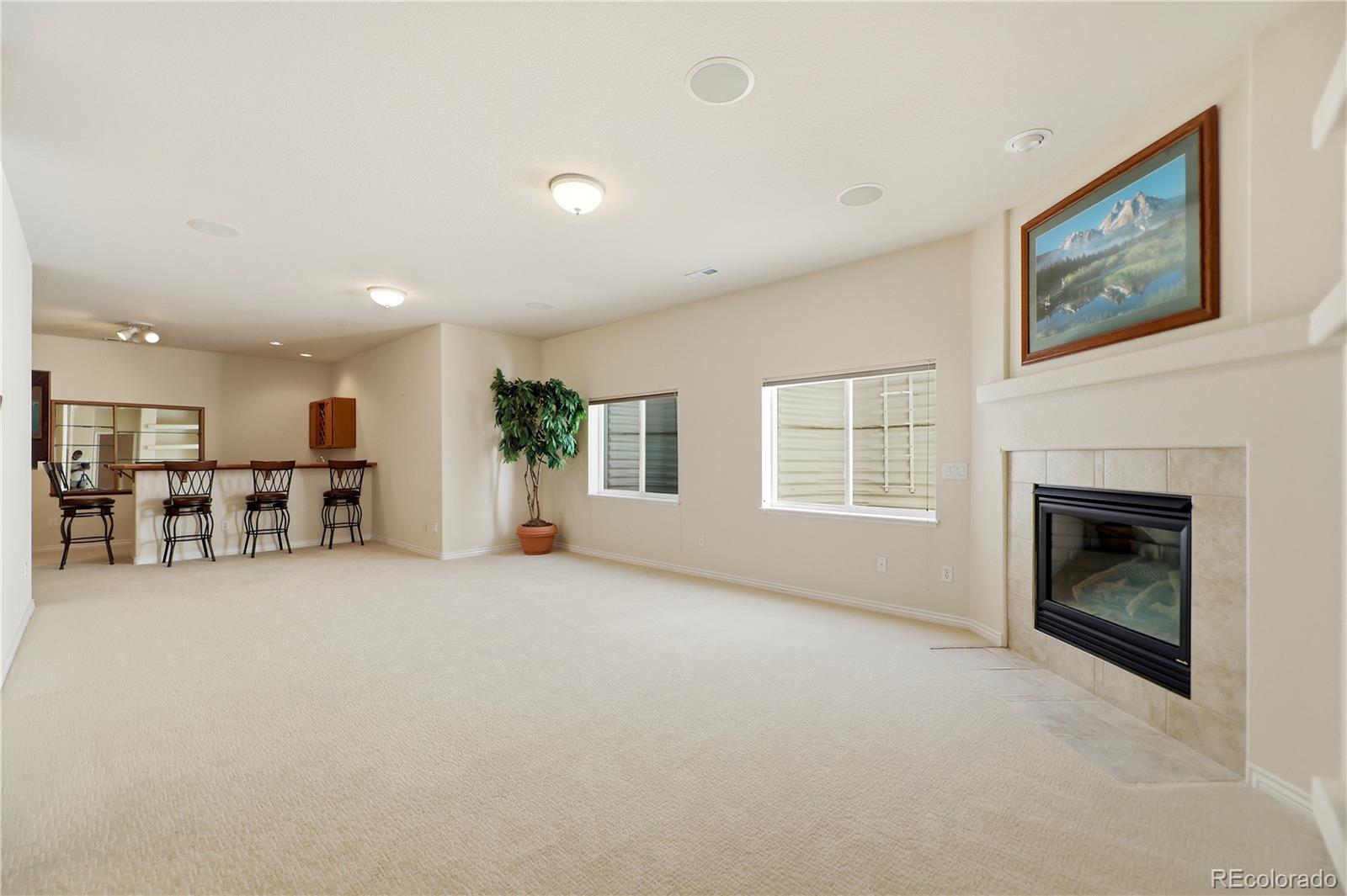 MLS Image #41 for 10090  palisade ridge drive,colorado springs, Colorado