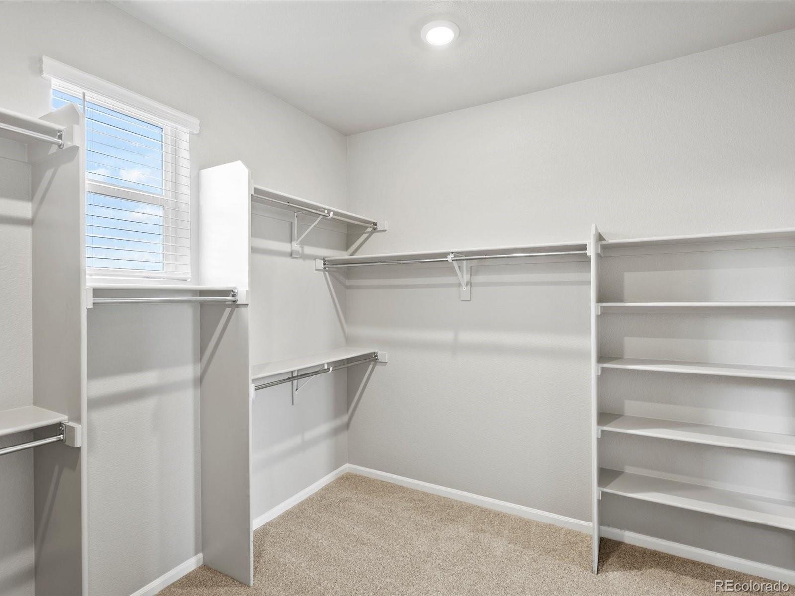 MLS Image #18 for 1607  nathan river drive,windsor, Colorado