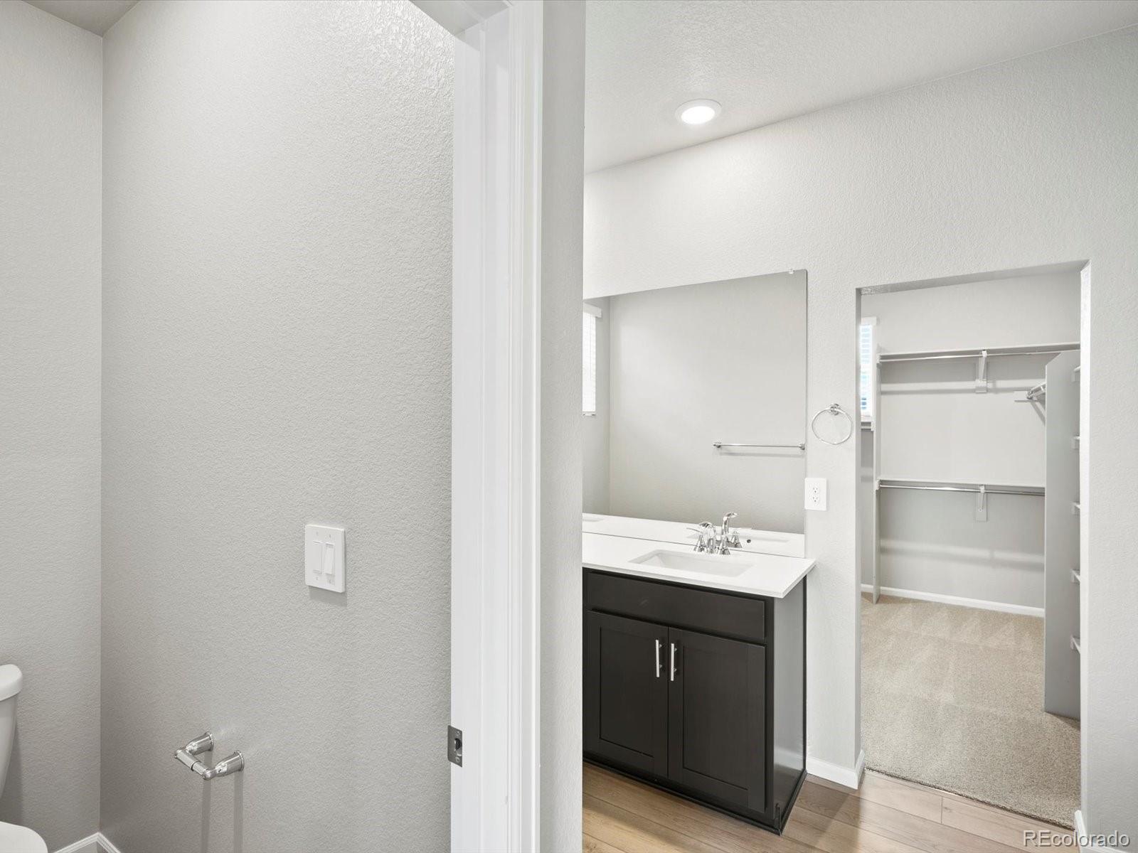 MLS Image #21 for 1607  nathan river drive,windsor, Colorado