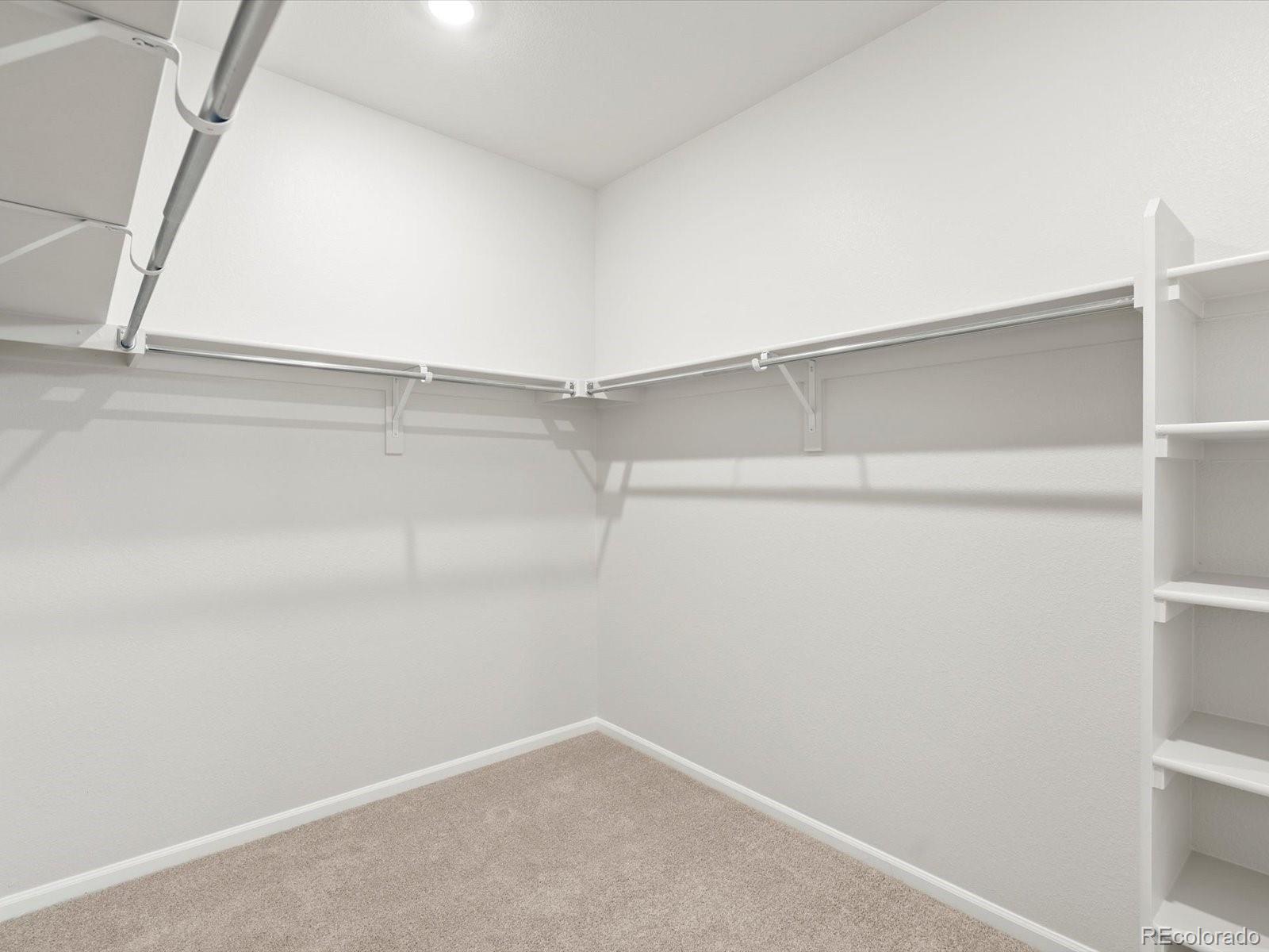 MLS Image #19 for 1242  spring creek drive,windsor, Colorado