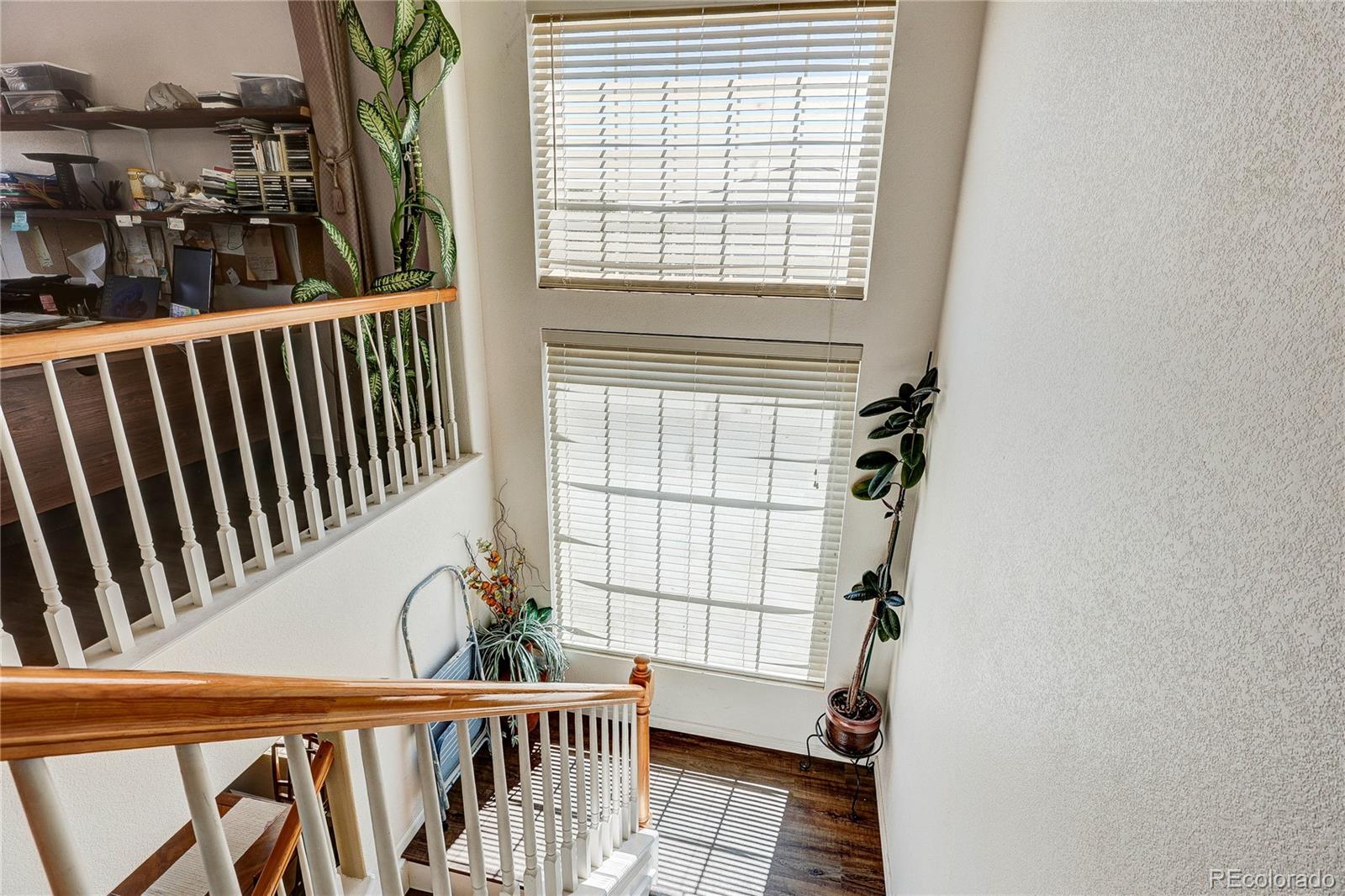 MLS Image #17 for 5101  perth street,denver, Colorado