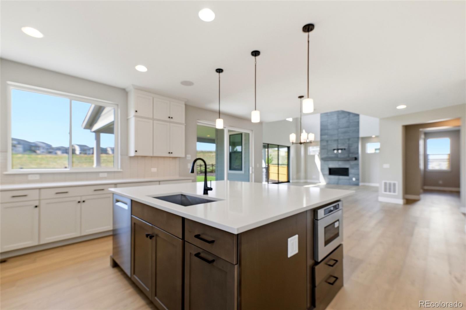 MLS Image #13 for 14247  beebalm loop,parker, Colorado