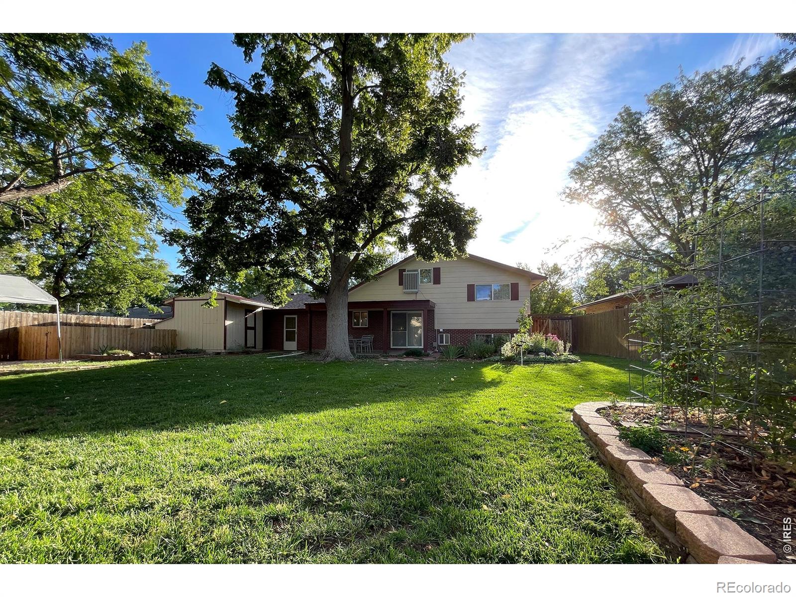 MLS Image #2 for 1423  frontier street,longmont, Colorado