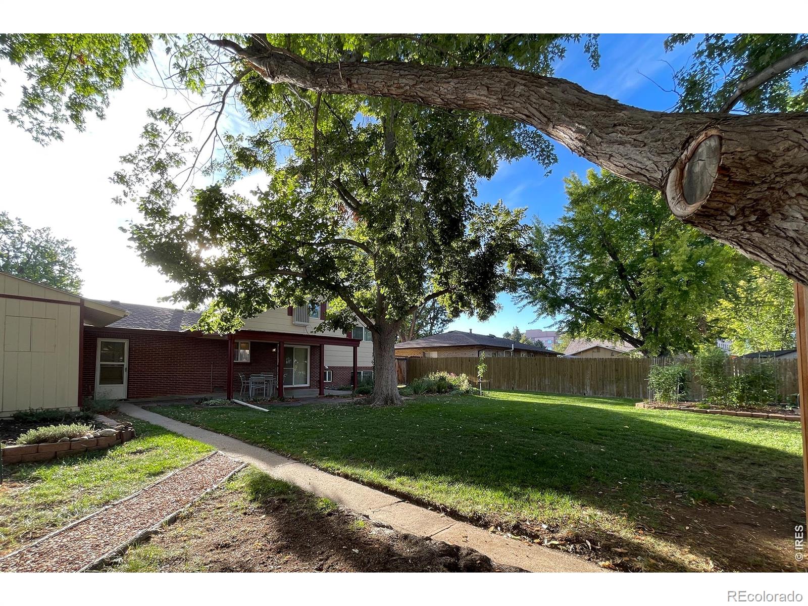MLS Image #3 for 1423  frontier street,longmont, Colorado