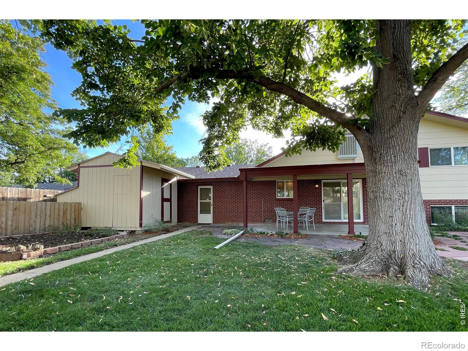 MLS Image #4 for 1423  frontier street,longmont, Colorado