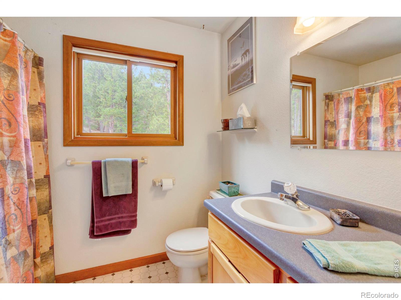 MLS Image #29 for 3804  dollar lake drive,estes park, Colorado