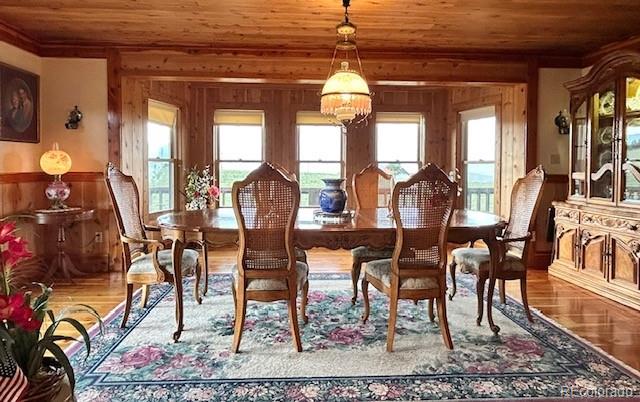 MLS Image #13 for 85  excelsior road,silver cliff, Colorado