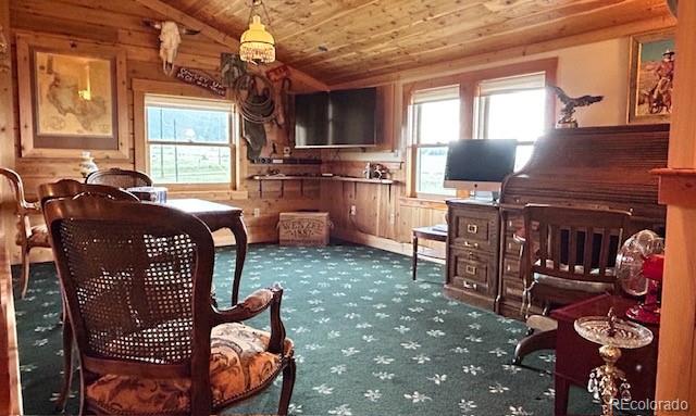 MLS Image #14 for 85  excelsior road,silver cliff, Colorado