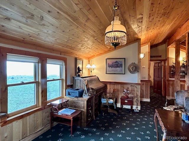 MLS Image #17 for 85  excelsior road,silver cliff, Colorado
