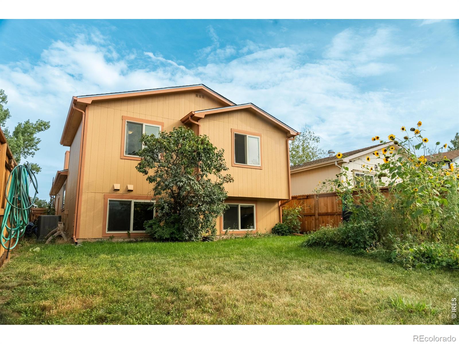 MLS Image #17 for 3761  dalton drive,fort collins, Colorado