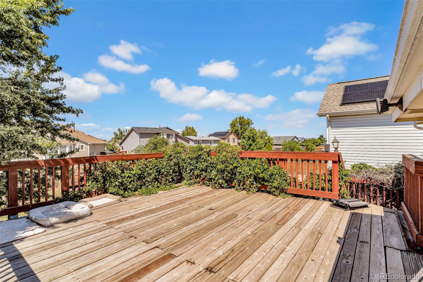 MLS Image #23 for 4909  eagle street,denver, Colorado