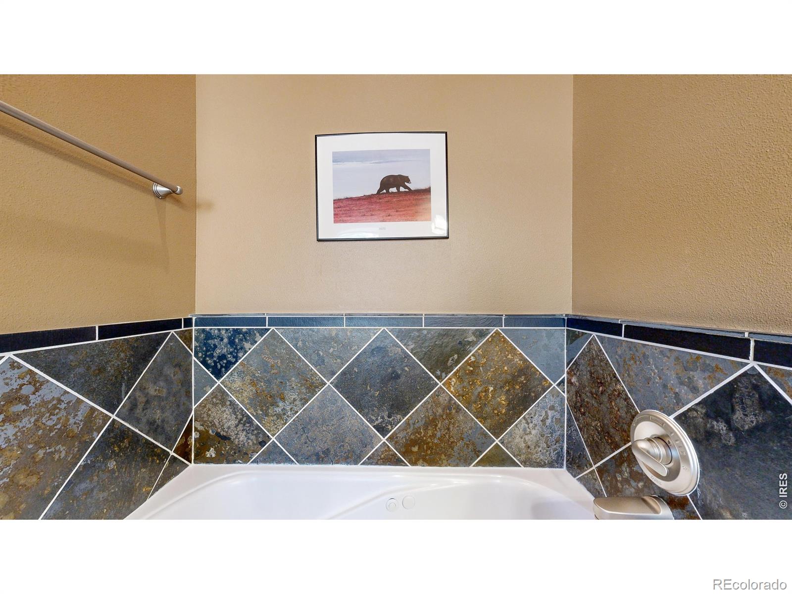MLS Image #20 for 349  overlook court,estes park, Colorado