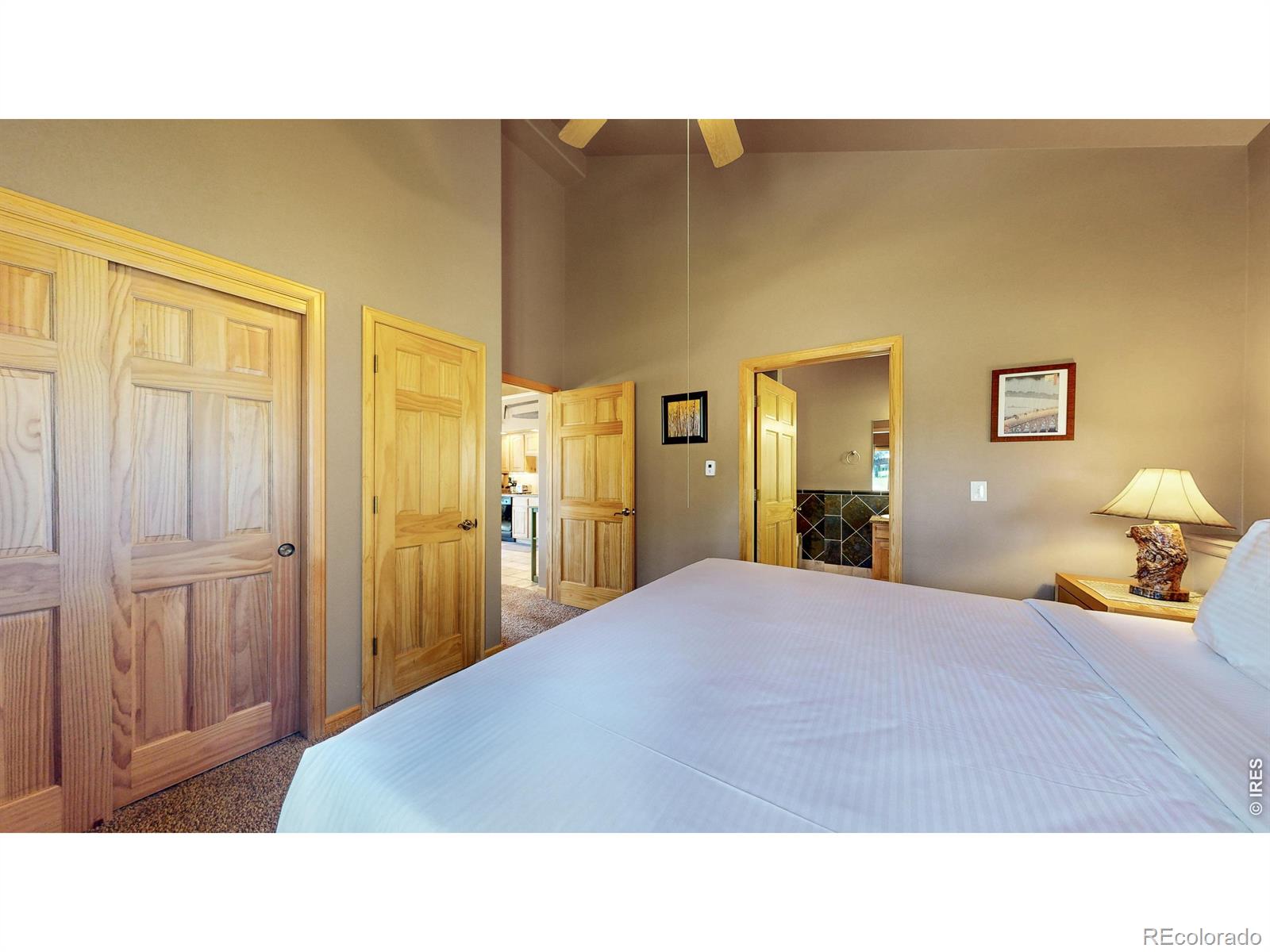 MLS Image #21 for 349  overlook court,estes park, Colorado