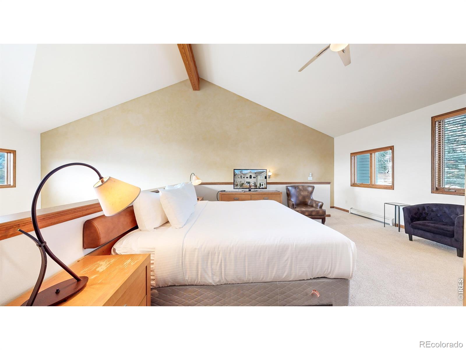 MLS Image #11 for 325  overlook court,estes park, Colorado