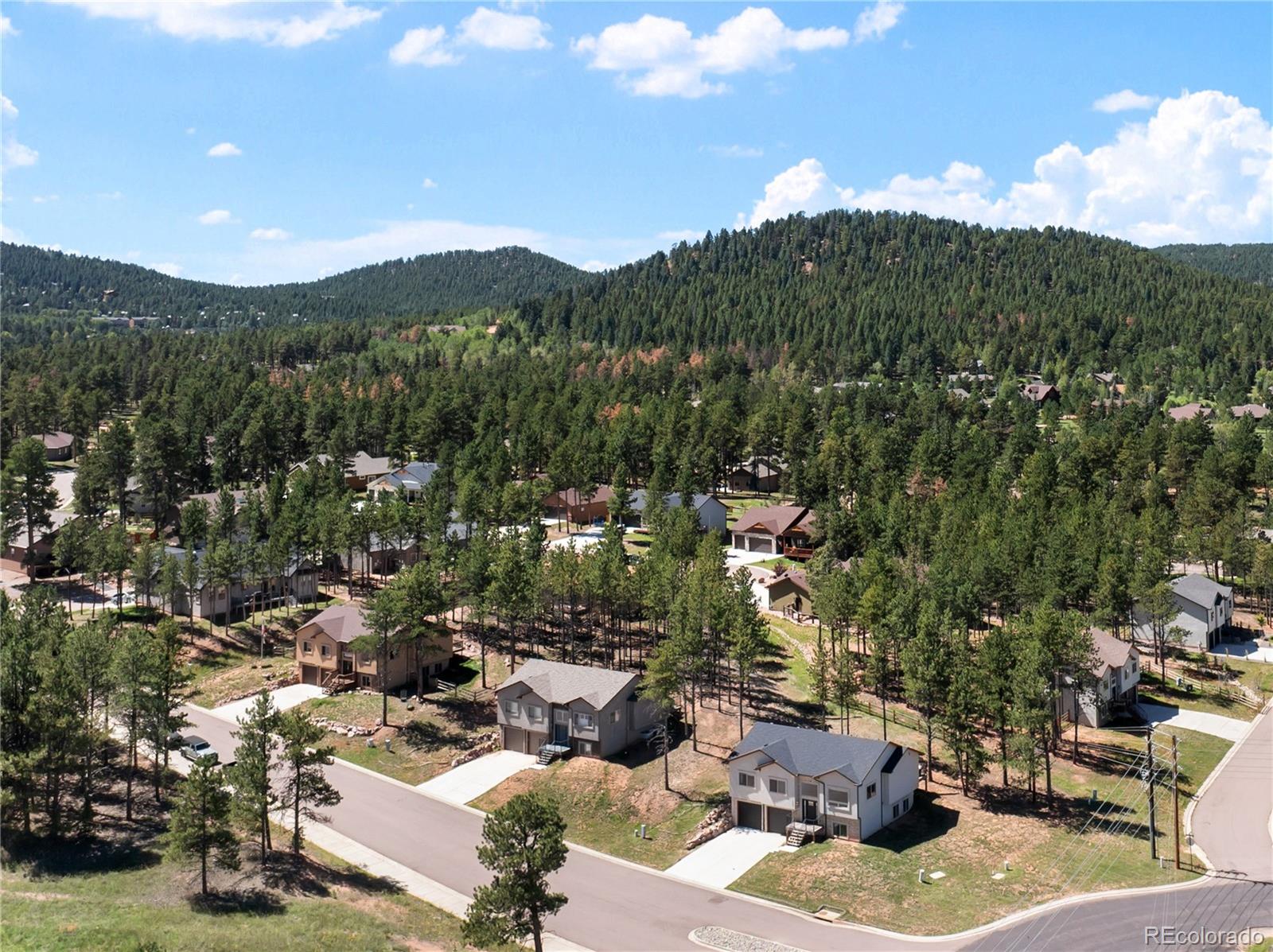 MLS Image #3 for 1382  ridgestone drive,woodland park, Colorado