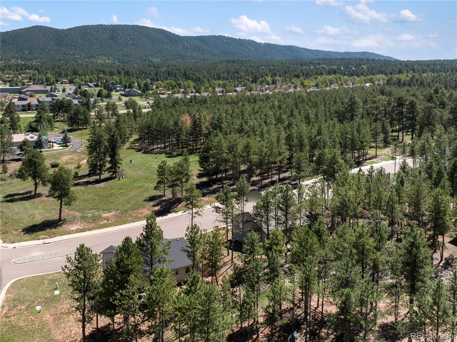 MLS Image #6 for 1382  ridgestone drive,woodland park, Colorado