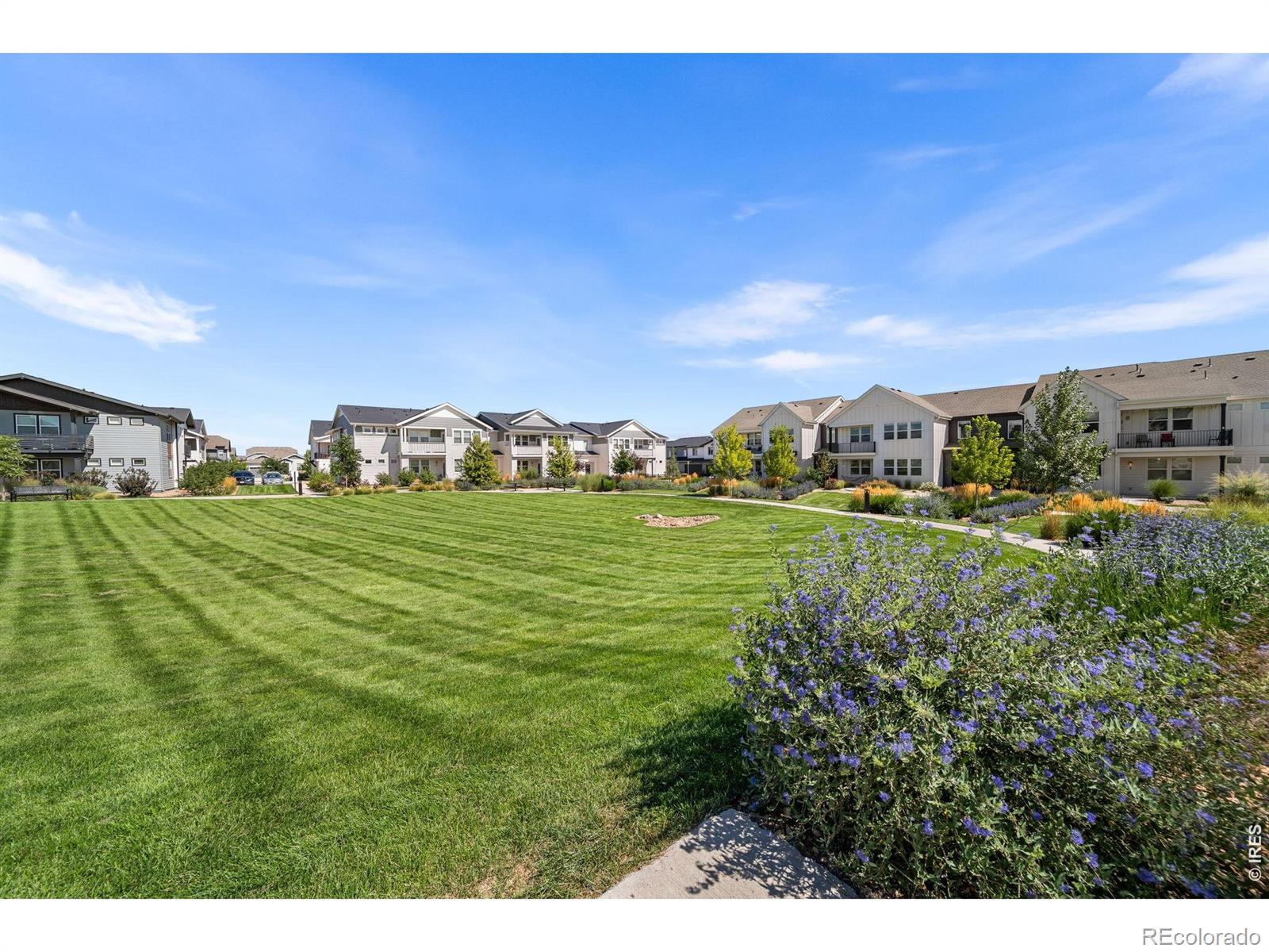 MLS Image #25 for 1804  iron wheel drive,windsor, Colorado